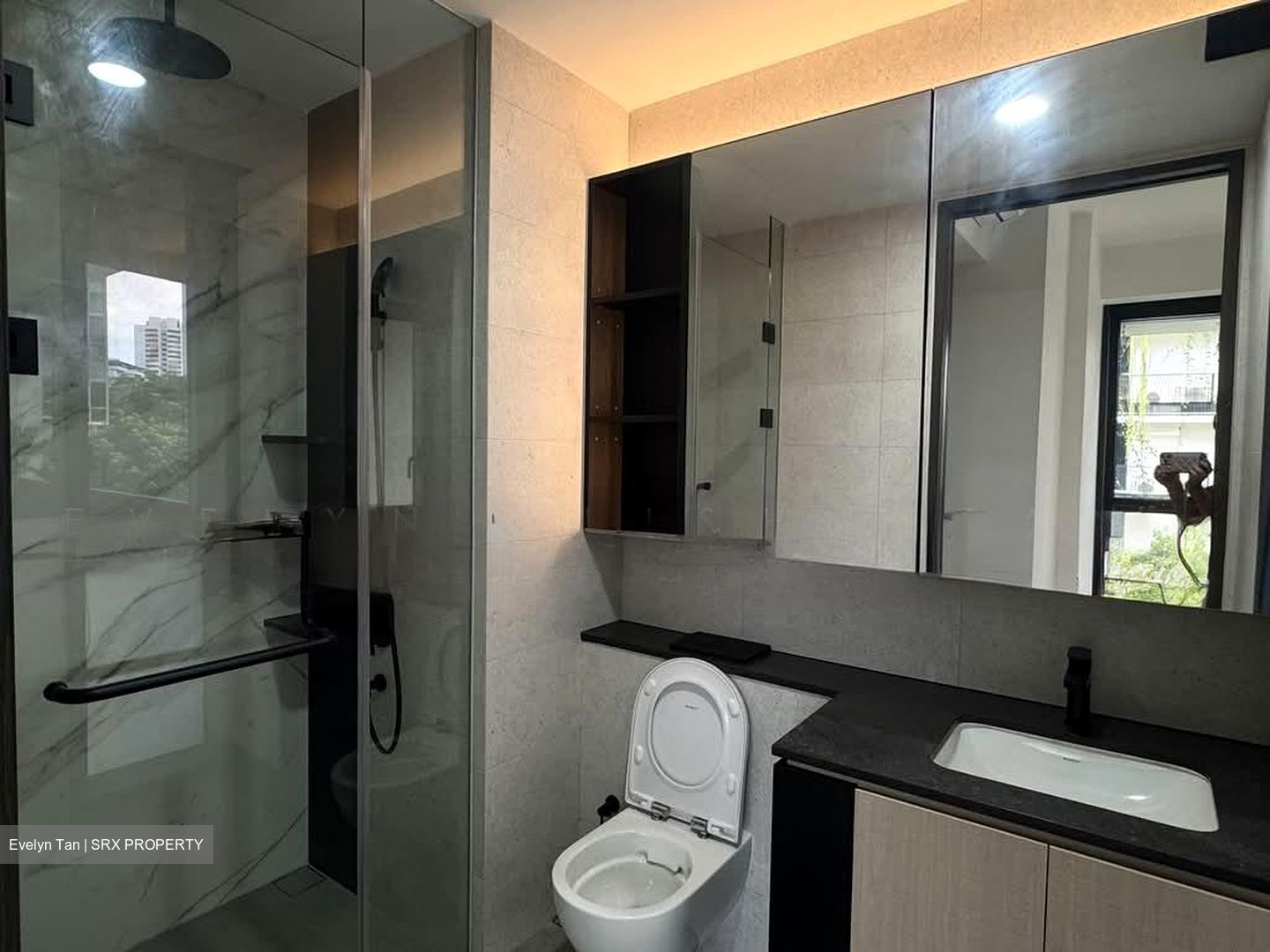 Jervois Mansion (D10), Apartment #600779071